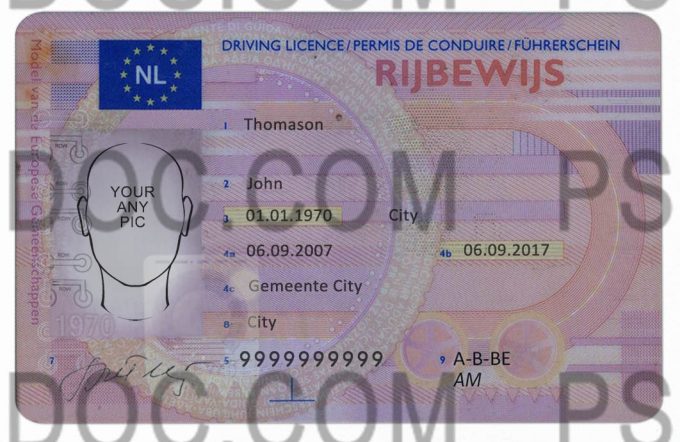 NL dl front