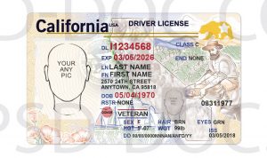 Usa California Driver License Front Back Sides