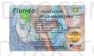 Usa Florida Driver License Front Back Sides