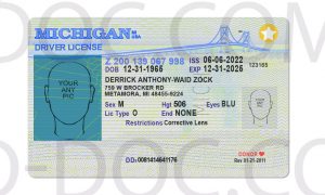 Usa Michigan Driver License Front Back Sides