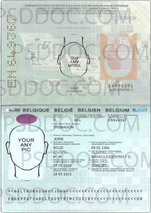 Belgium Passport 2014 Psd