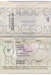 Brazil Passport Psd