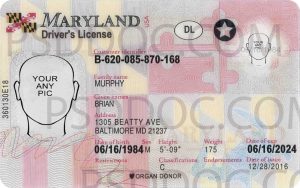 Usa Maryland Driver License Front Back Sides